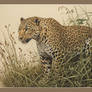 Portrait of a Leopard