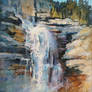 Panther Falls Study