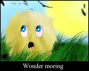 Morning wonder