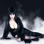 Elvira Mistress of the Dark