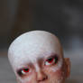 Faceup for Ydriss