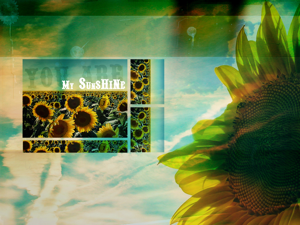 You Are My Sunshine Wallpaper By Draconis393 On Deviantart