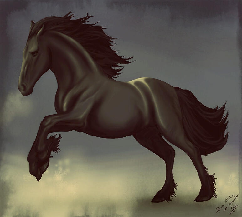 Frison