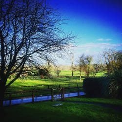 Country Field View