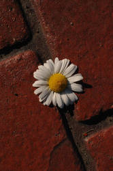 Brick Flower
