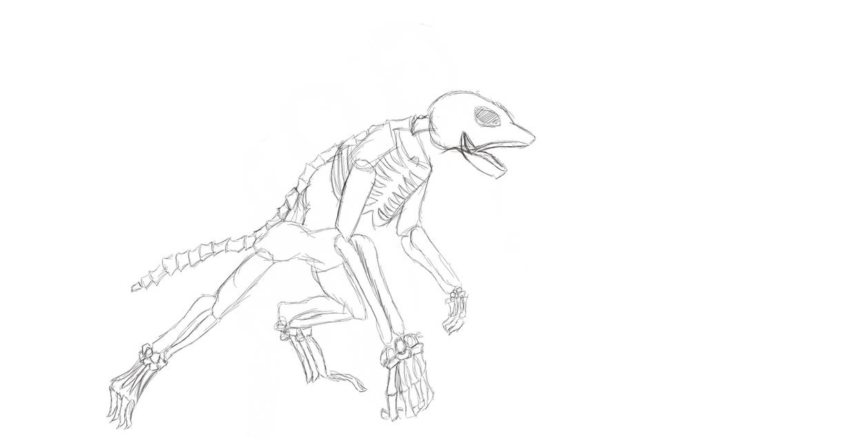 Overwolf Skeleton Werewolf Skeleton by KeyzTheSkeleton on DeviantArt