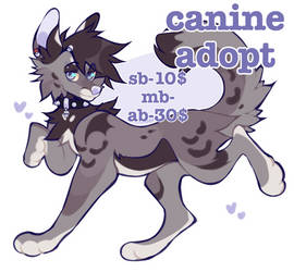 Canine Adopt 3 (SB - 10$)