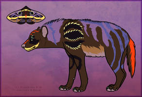 012 - Moth Hyena