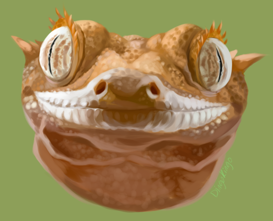 089 - Crestie