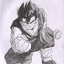 Adult Gohan