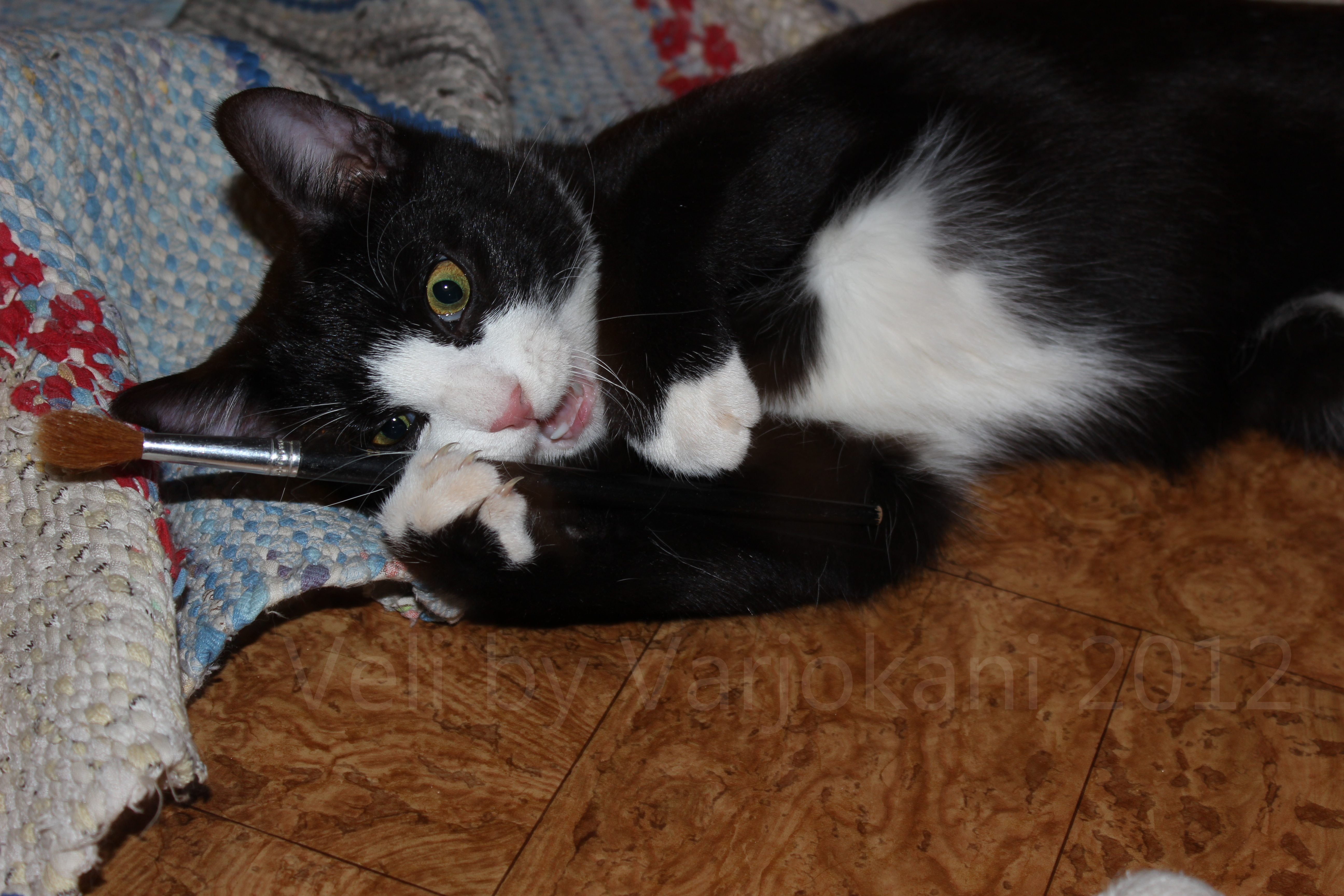 This brush is mine