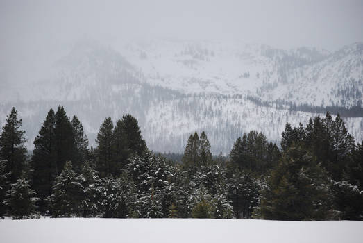 Lake Tahoe