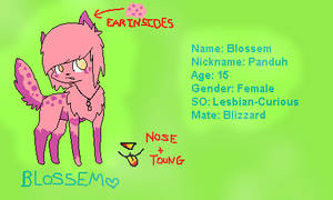 Blossem Reference Sheet