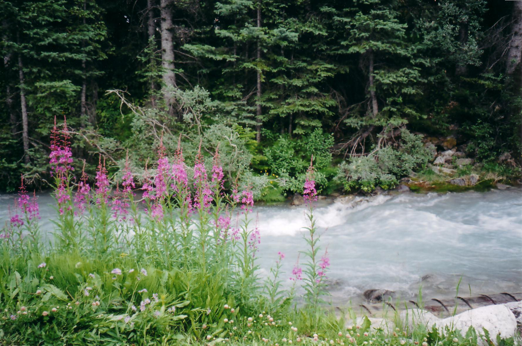 Memories: Lake Louise 3