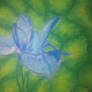 blue flower