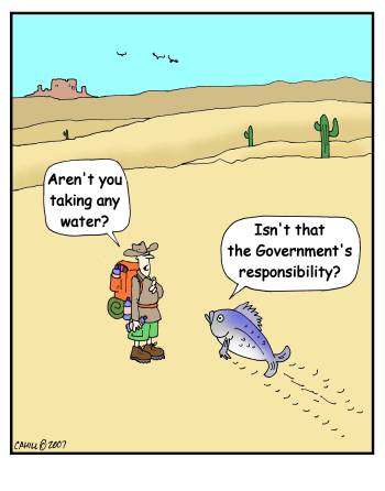 Fish in the Desert