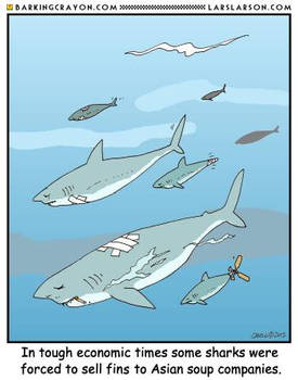 Shark Fin Soup cartoon