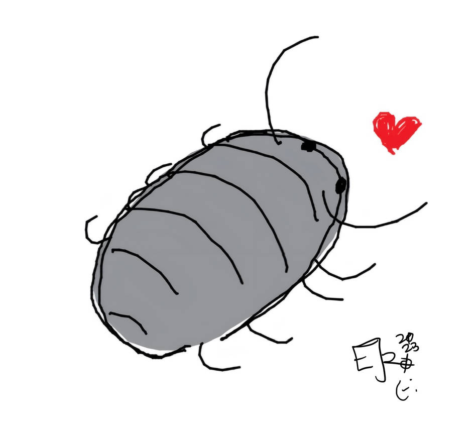 isopod friend by raintreeO4 on DeviantArt