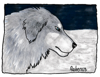 Aakenus by Goenkeel