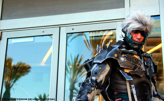 Photo Fridays- Raiden