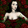 Rose in the Devil's Garden