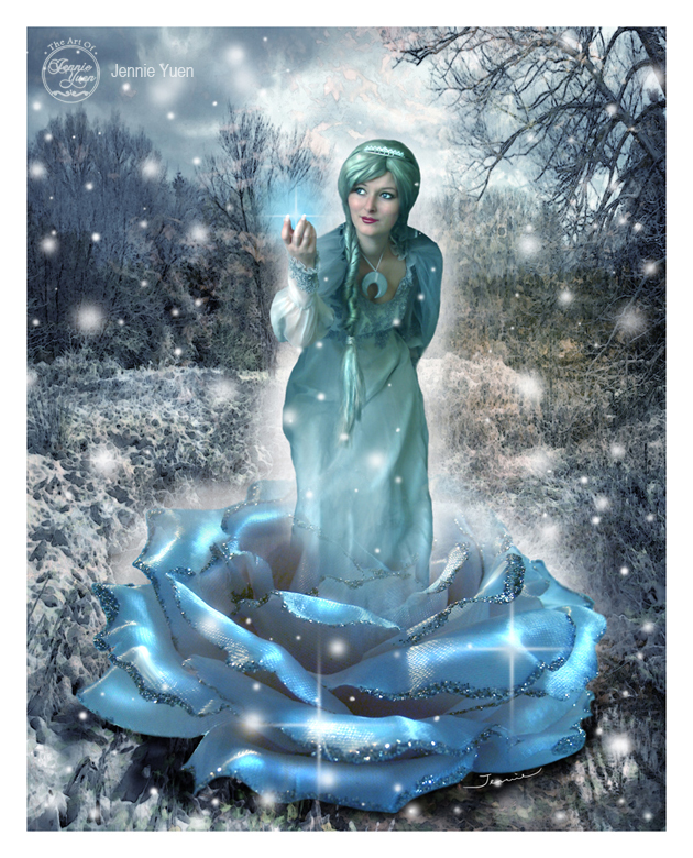 Winter Rose by sweetcivic