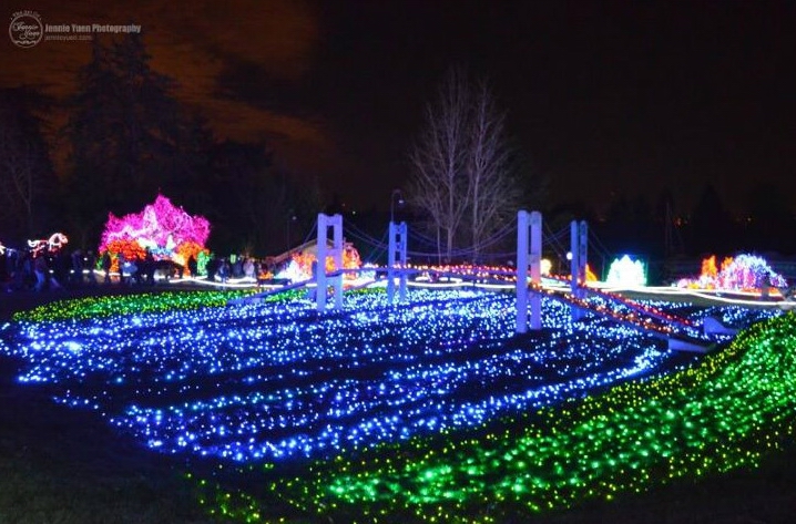 Holiday Lights Bridge