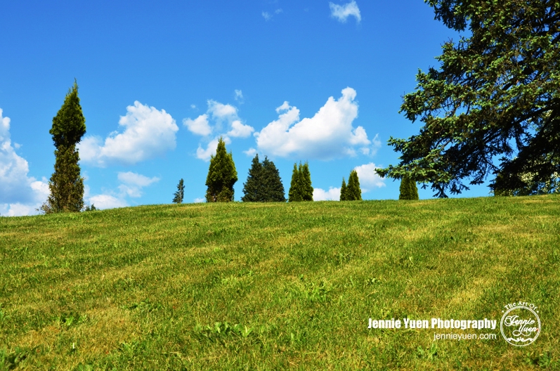 Field of Dreams