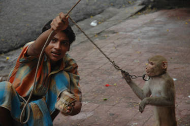 India - monkey boy