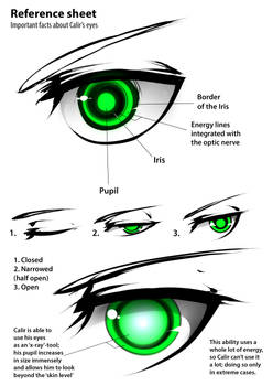 Calirs eye structure