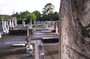 Beth Israel Cemetery 19