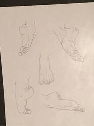 Foot Life Drawing