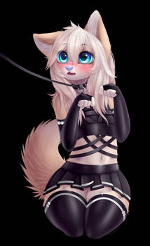 On a leash