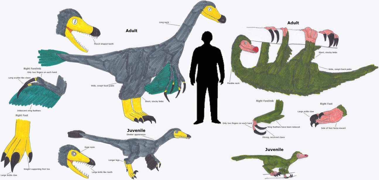 Dodo Raptor Rabbids The Dodo-Raptors by Coelotitan on DeviantArt