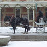 Horse Drawn Carriage with Snow