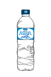 Aqua Bottle