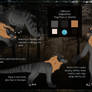Fursona Reference Sheet
