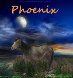 Phoenix