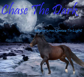 Chase The Dark