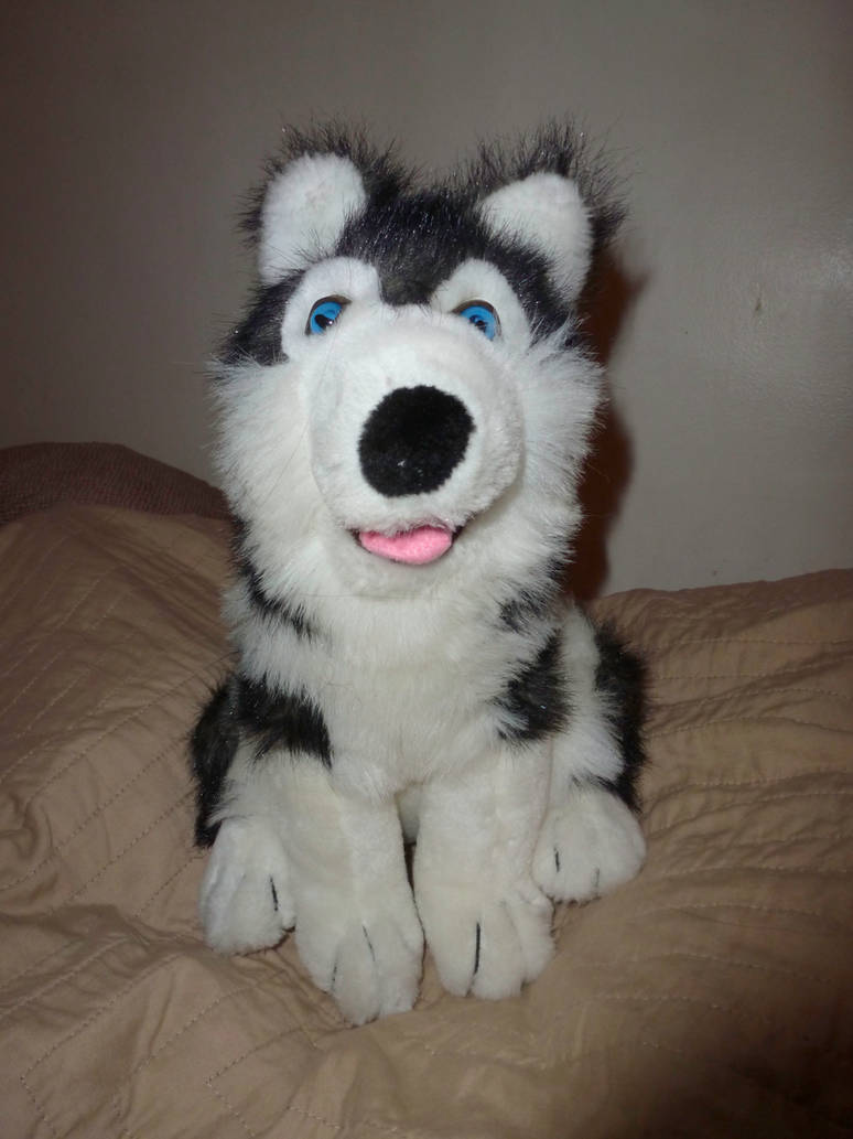 Husky plush by xoxoxivoryxoxox on DeviantArt