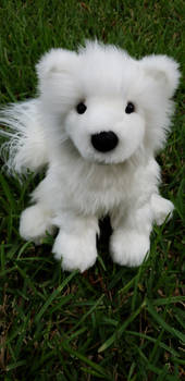 Sammy samoyed  Douglas rare retired  for sale