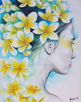 Frangipani