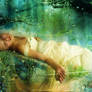 Pearls of Light