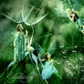Dandelion Rain