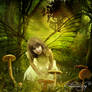 Fairy Forest 3