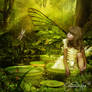 Fairy Forest 2