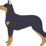 Beauceron