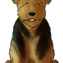 CN IB: Welsh Terrier