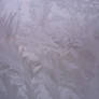 Ice Texture I