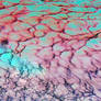 Colorful Caustic Texture